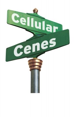 Cellular Cenes presented by Downtown Lee's Summit at ,  