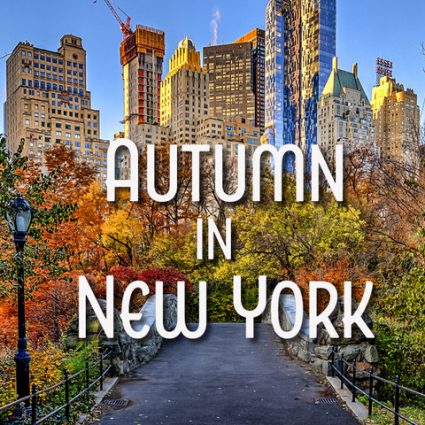 Gallery 1 - Autumn in New York