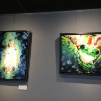 Gallery 5 - Stacy Smith