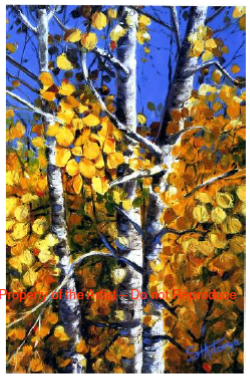 Gallery 5 - Wyoming Aspen Oil on canvas 30”x40”