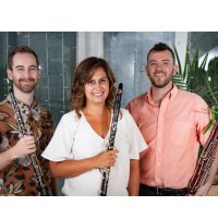 Gallery 3 - Chamber in the Chamber presents the Battledore Trio