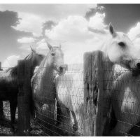 Gallery 3 - Black and White Photography of the Southwest
