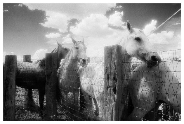 Gallery 3 - Black and White Photography of the Southwest