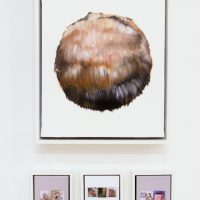 Gallery 1 - Laura Tyler