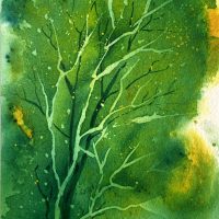 Gallery 2 - Jennifer Roberts - Late Blooming Watercolors