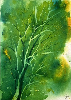 Gallery 2 - Jennifer Roberts - Late Blooming Watercolors