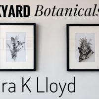 Backyard Botanicals presented by Laura K Lloyd at Kansas City Society for Contemporary Photography, Kansas City MO