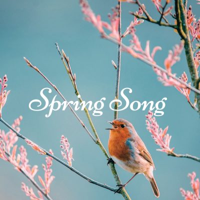 The GRAMMY®-winning Kansas City Chorale: Spring Song presented by Kansas City Chorale at The Nelson-Atkins Museum of Art, Kansas City MO