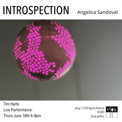 Introspection: Live Performance presented by Plug Gallery at ,  