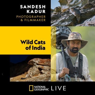 Nat’l Geographic Live Presents: Wild Cats of India presented by Kauffman Center for the Performing Arts at Kauffman Center for the Performing Arts, Kansas City MO