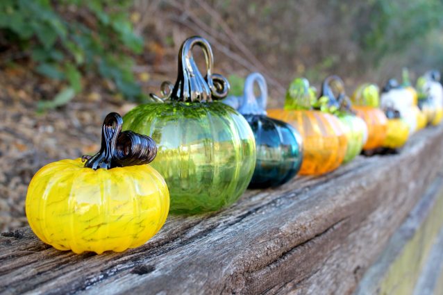 Gallery 2 - Fall Fest at the Belger Glass Annex