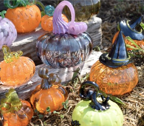 Gallery 5 - Fall Fest at the Belger Glass Annex